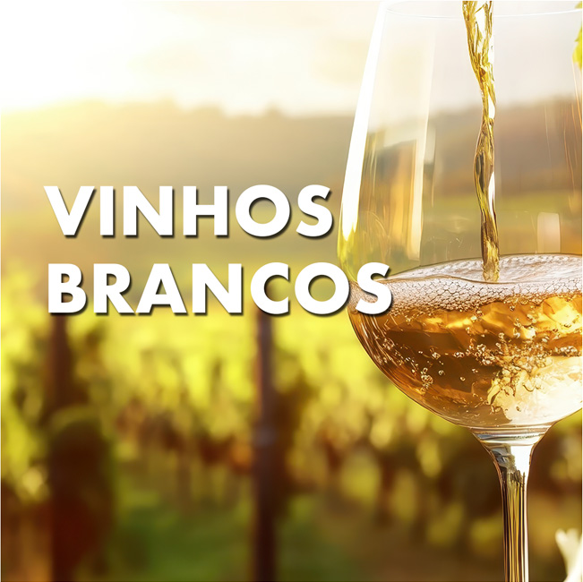 banner-entre-blocos-3-2-vinhos-brancos