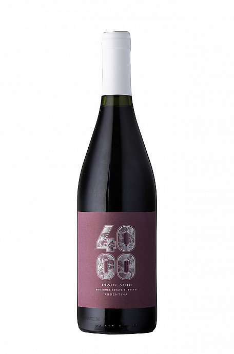 4000 RESERVA PINOT NOIR - 750ML - 2021 VINHO FINO TINTO SECO
